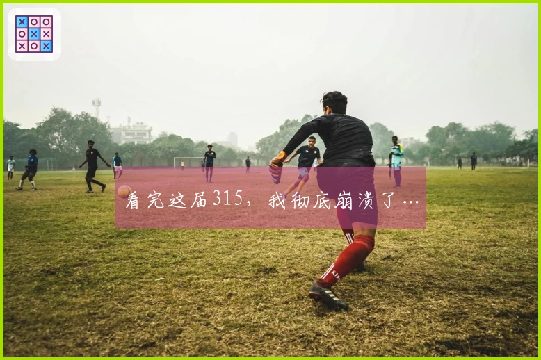 看完这届315，我彻底崩溃了…