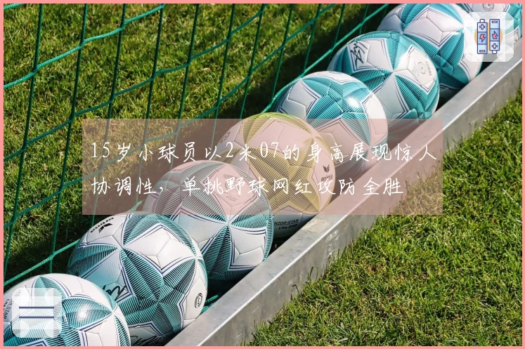 15岁小球员以2米07的身高展现惊人协调性，单挑野球网红攻防全胜